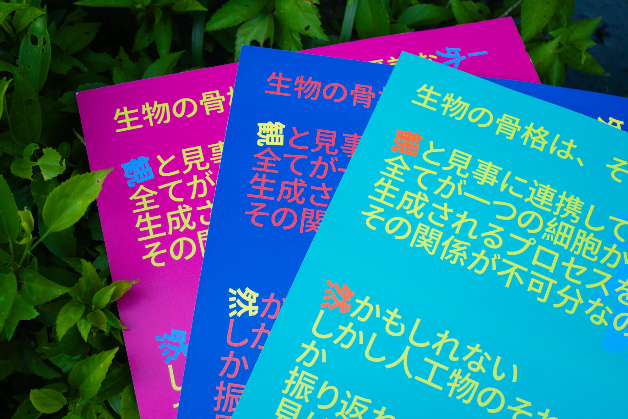 屋外への展開 / 05
