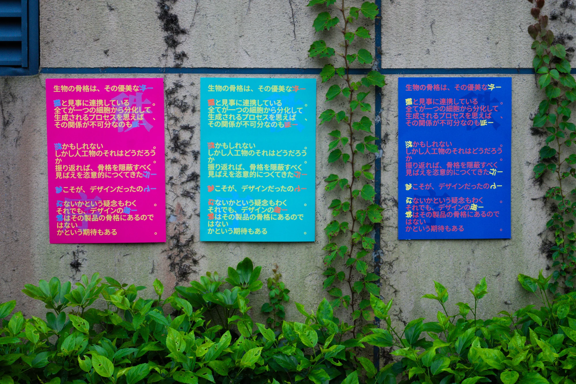 屋外への展開 / 06
